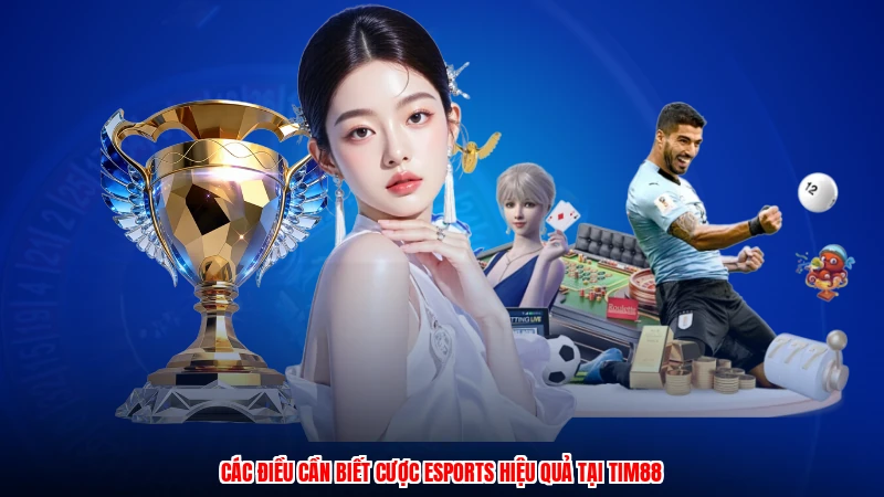 Các điều cần biết cược esports hiệu quả tại TIM88