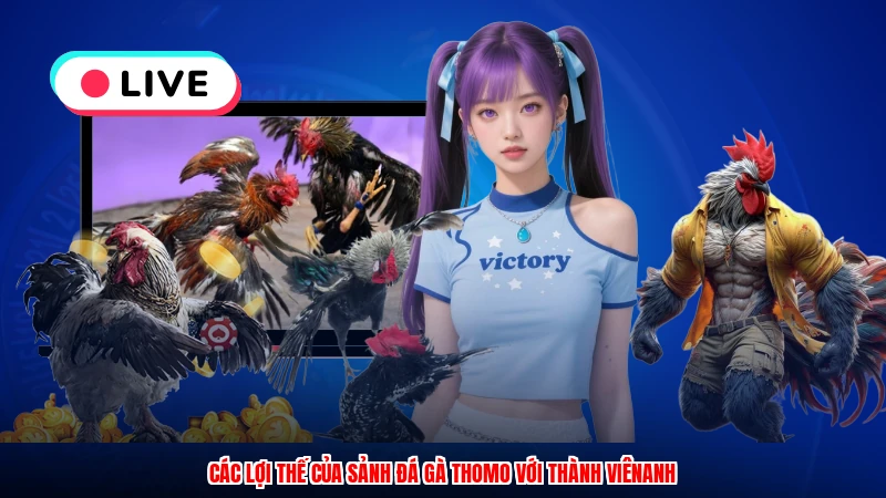 Các lợi thế của sảnh đá gà thomo với thành viênanh