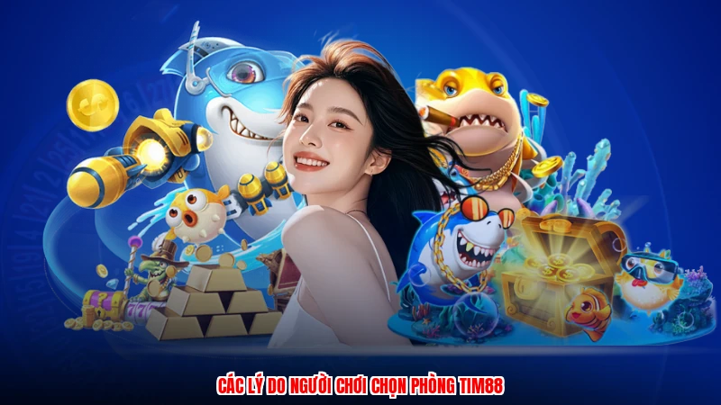 Các lý do người chơi chọn phòng TIM88