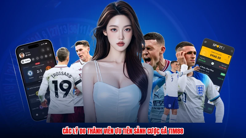 Các lý do thành viên ưu tiên sảnh cược gà TIM88