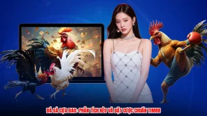 Đá Gà Cựa Dao: Phân Tích Kèo Và Đặt Cược Chuẩn TIM88