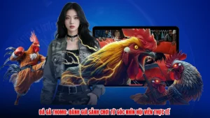 Đá Gà Thomo: Đánh Giá Sảnh Chơi Từ Góc Nhìn Hội Viên Thực Tế