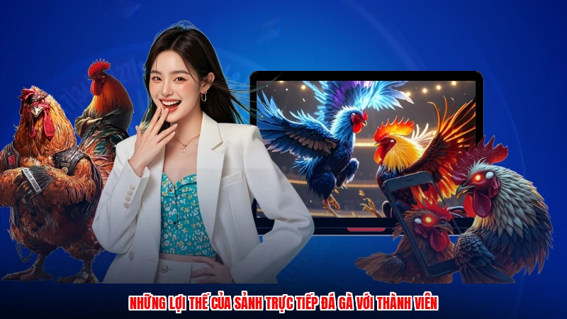 Những lợi thế của sảnh trực tiếp đá gà với thành viên