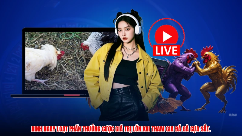 Rinh ngay loạt phần thưởng cược giá trị lớn khi tham gia đá gà cựa sắt.