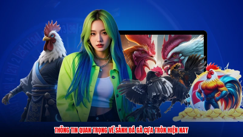 Thông tin quan trọng về sảnh đá gà cựa tròn hiện nay