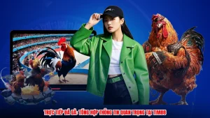 Trực Tiếp Đá Gà: Tổng Hợp Thông Tin Quan Trọng Tại TIM88