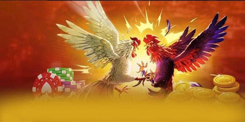 Đánh giá 8xbet - Trang game chất lượng 2026 Đánh giá 8xbet - Trang game chất lượng 2026